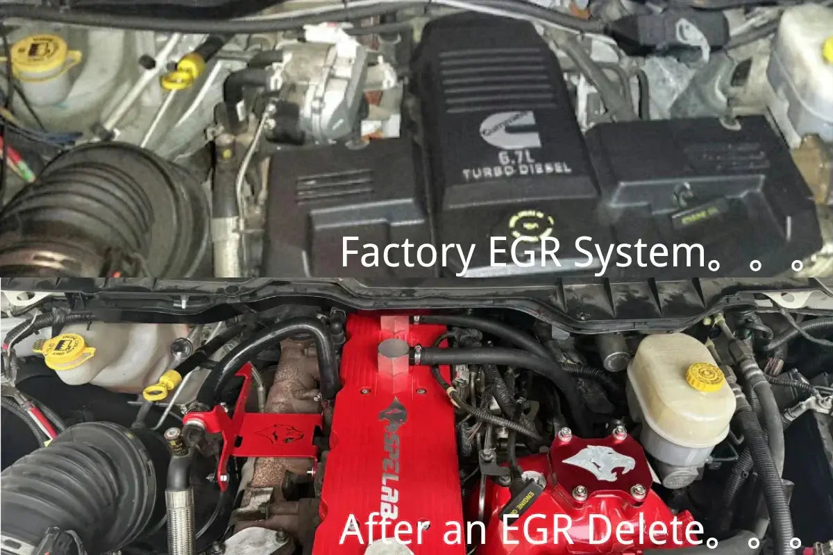 EGR System VS EGR Delete? What will change?