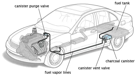 Why You Need to Know About the EVAP System