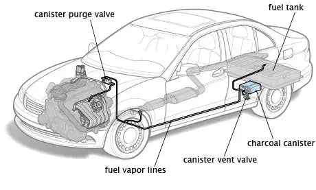 Why You Need to Know About the EVAP System