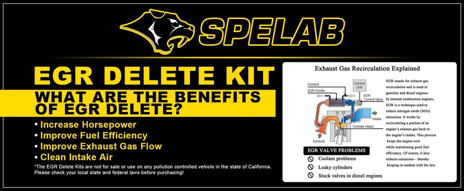 SPELAB EGR Delete Kit