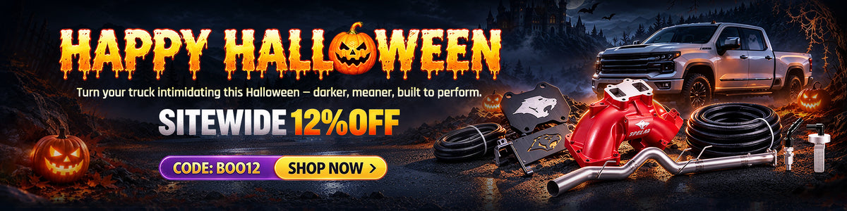Happy Halloween Sale! Enjoy 12%Off with Code: BOO12